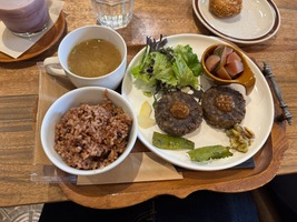 tray with plate and bowls containing soup, rice, salad, veggies and vegan burger patties