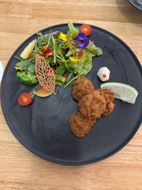 plate with saitan meat balls and salad