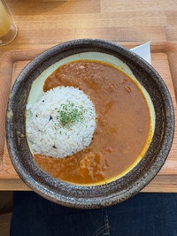 deep dish with rice and brown curry