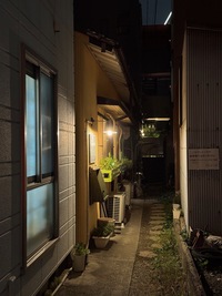 restaurant entrance in an ally at night, sparsely illuminated