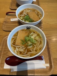 two udon noodle suops