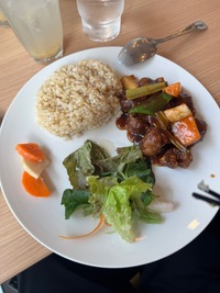 Top view of a mixed plate dish with rice, salad, vegan meatballs, veggies and sauce