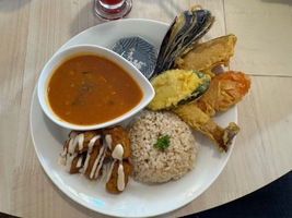 top view for plate with various foods, tempura fried vegetables, a sauce, brown rice and vegan meatstuffs