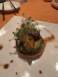 top view of a vegan aubergine burge pattie with kress topping