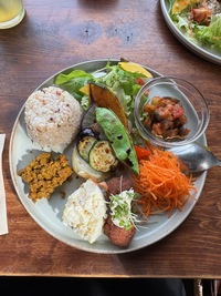 round platter of buddhist lunch: rice, fried tofu strips, various salads